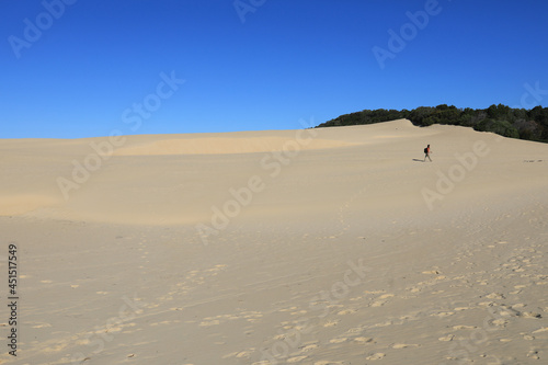 hiking on sand dunes near Lake Wabby on Fraser Island  Queensland  Australia