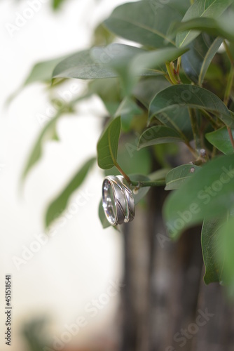 Two beautiful silver wedding rings on the Edge of a Small Plant Leaf on a blurred background.