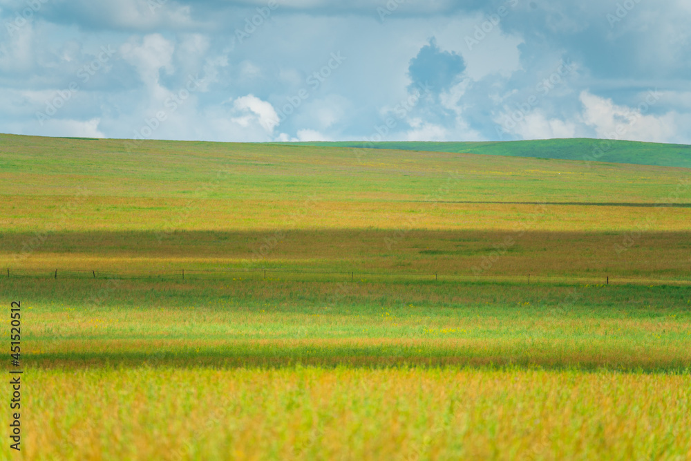 The grassland landscape in Hulun Buir, Inner Mongolia, China, summer time.