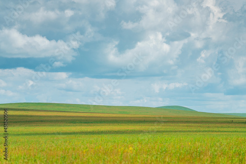 The grassland landscape in Hulun Buir, Inner Mongolia, China, summer time. © Zimu