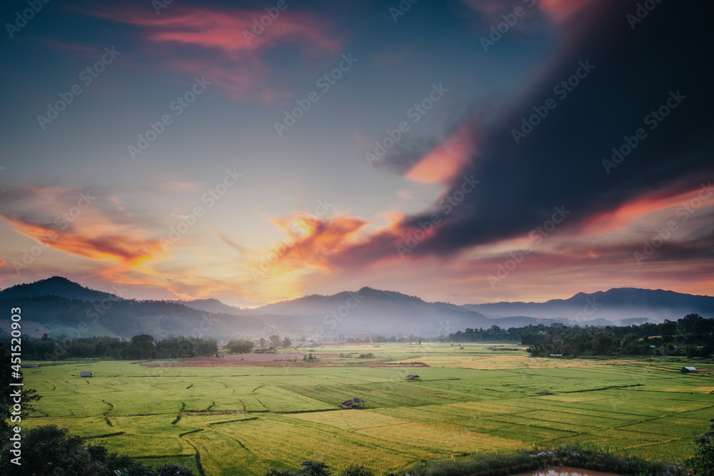 Landscaped Scenery View of Agriculture Rice Fields, Nature Landscape of Rice Terrace Field at Sunset. Panorama Countryside Valley Scenic With Mountain of Agricultural Farmland Background.