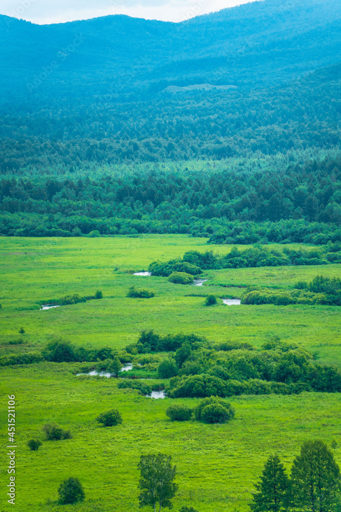 The wetland landscape in Hulun Buir, Inner Mongolia, China, summer time.