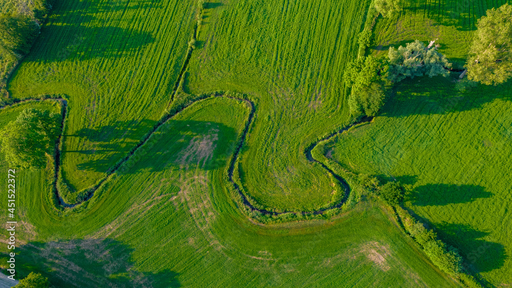 Obraz premium Aerial view of meandering lowland river in the lush green vegetation of the delta. High quality photo