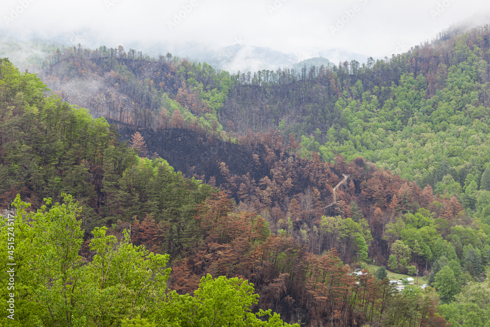 Cherokee area, Great Smoky Mountains National Park