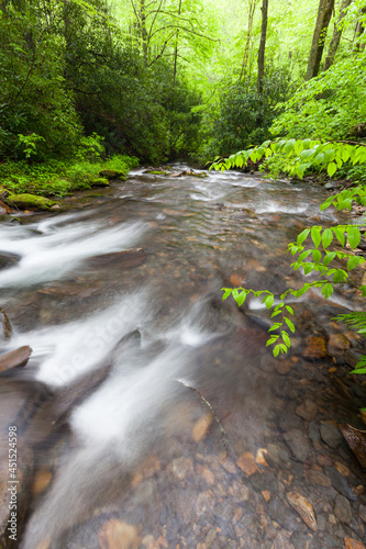 Fires Creek  Nantahala National Forest  NC