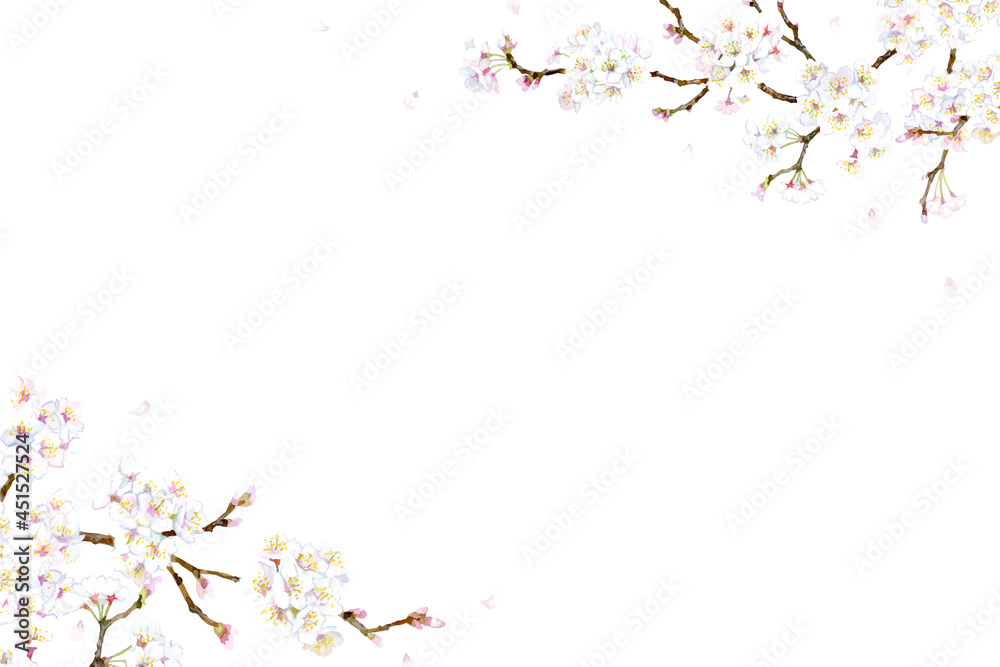A vector frame made of cherry blossom branch A vector frame made of cherry blossom branch