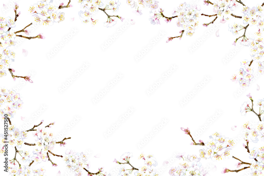 A vector frame made of cherry blossom branch A vector frame made of cherry blossom branch
