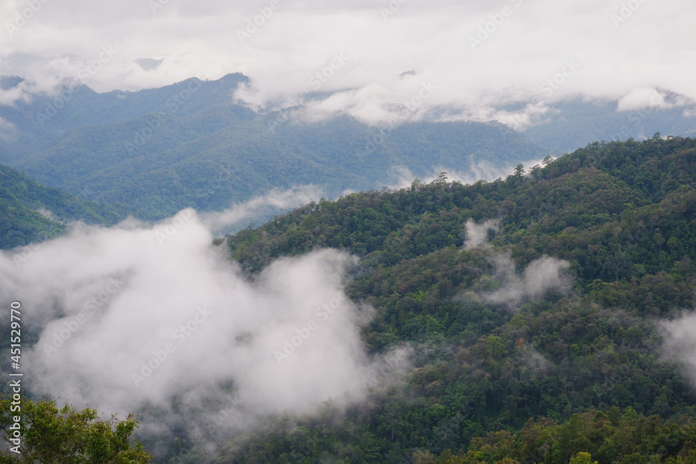 mountain and fog landscape with blue sky of high view