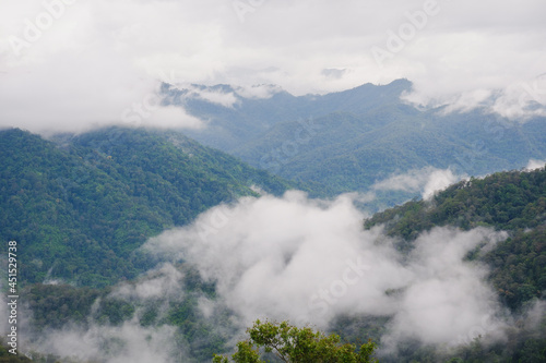 mountain and fog landscape with blue sky of high view © jakk_wong