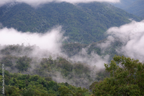 mountain and fog landscape with blue sky of high view