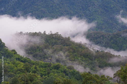 mountain and fog landscape with blue sky of high view