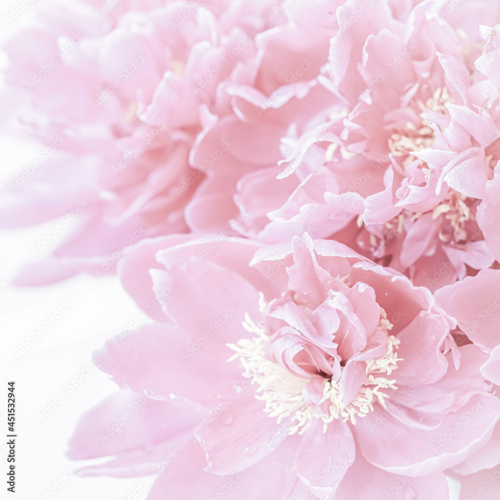 Botanical concept, invitation card - Soft focus, abstract floral background, pale pink peony flower petals. Macro flowers backdrop for holiday brand design Botanical concept, invitation card - Soft focus, abstract floral background, pale pink peony flower petals. Macro flowers backdrop for holiday brand design