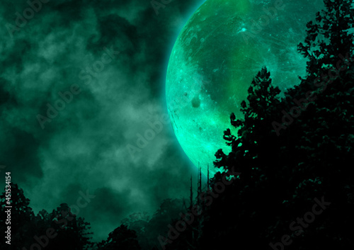 不気味な夜の森に浮かぶ黄色い満月のイラスト