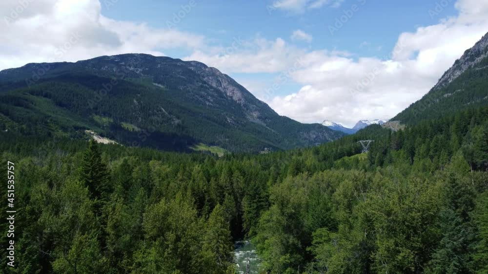 Fly over pine forest on a sunny day with small river and electrical lines Fly over pine forest on a sunny day with small river and electrical lines