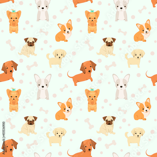 Fototapeta Naklejka Na Ścianę i Meble -  Seamless pattern with cute dogs. Funny animals in a cartoon design.