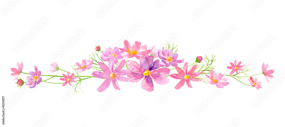 コスモスの花の装飾ライン。水彩イラストのベクターデータ。