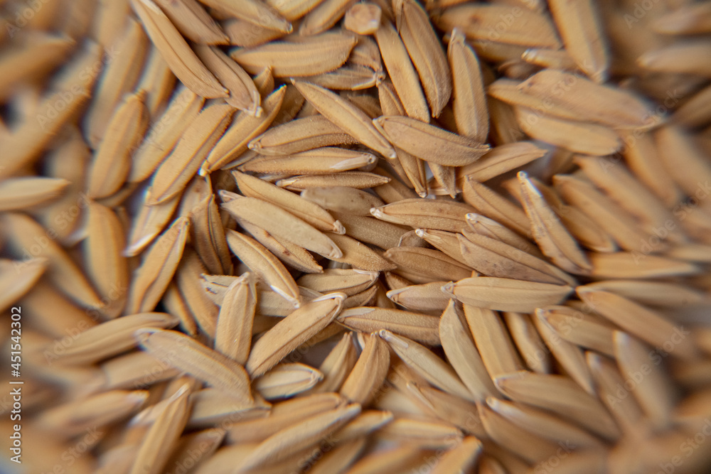 Organic rice, Mixed rice and texture for background