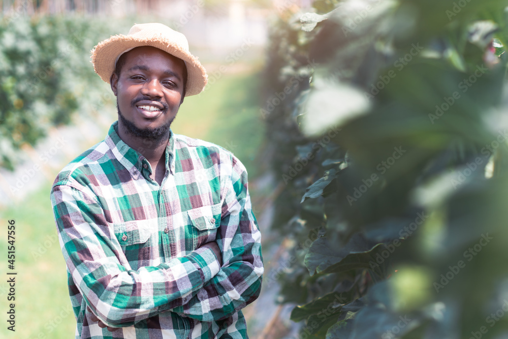 African farmer stand to observe the yield and growth of melons in organic farms.Agriculture or cultivation concept African farmer stand to observe the yield and growth of melons in organic farms.Agriculture or cultivation concept