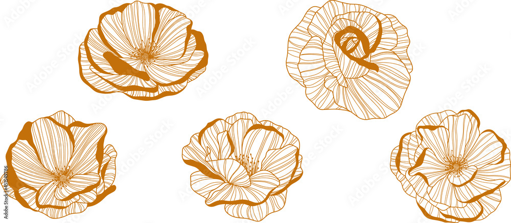 Rose flowers isolated on white. Hand drawn line vector illustration. Eps 10
 - obrazy, fototapety, plakaty 