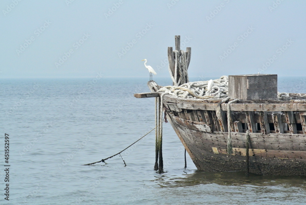 Egret perched on a shipwreck By the sea in Pattaya. Concept alone, lonely. Beach View background with copy space.