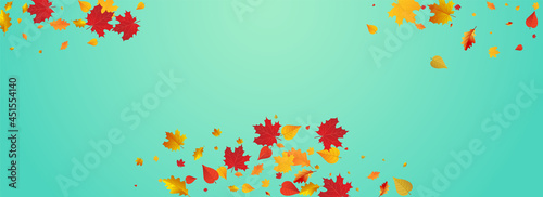 Golden Leaf Vector Blue Panoramic Background.