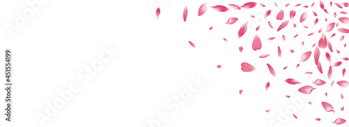 Transparent Rose Petal Vector Panoramic