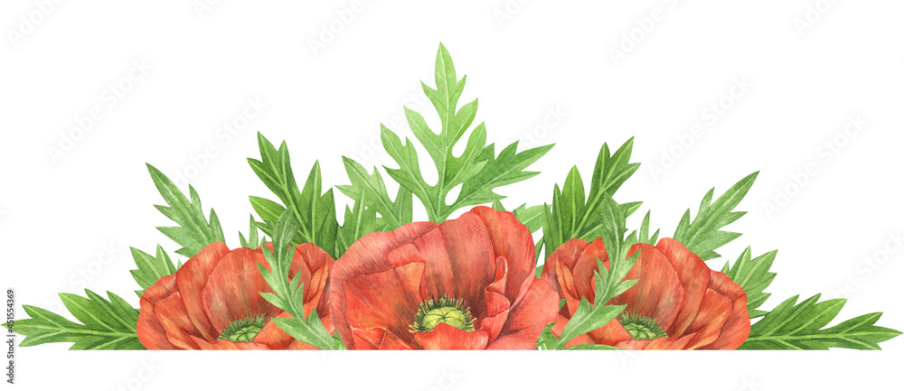 Obraz premium Watercolor flower frame with red poppy. Watercolor red poppy illustrations. Wildflower arrangements