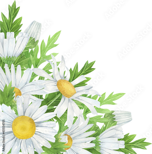 Watercolor daisy flower frames, watercolor wildflowers arrangements.