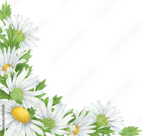 Watercolor daisy flower frames, watercolor wildflowers arrangements.
