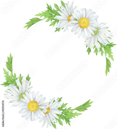 Watercolor daisy flower frames, watercolor wildflowers arrangements.