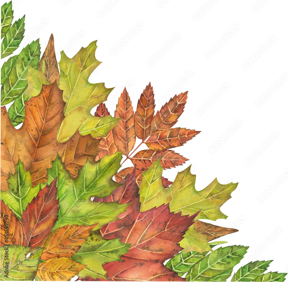 Fototapeta premium Watercolor fall leaves arrangements. Autumn fall leaves frames isolated on white background