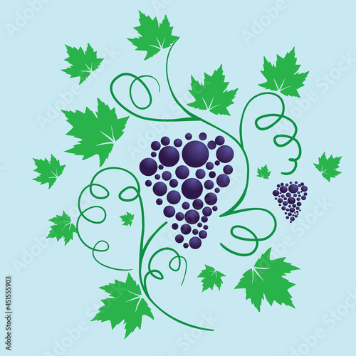 
A vector illustration of a grapevine with some leafs and branches.