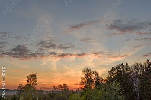 Panorama of the sunset sky over the spring forest