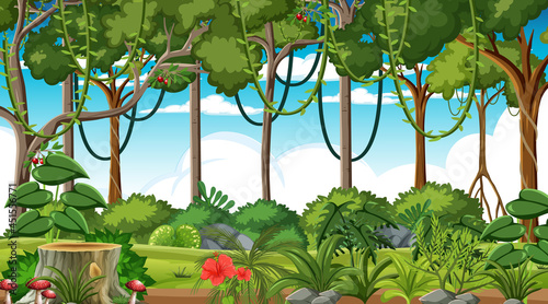 Forest at daytime landscape scene