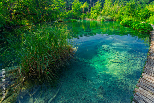 beautiful scene in Plitvice Lakes National Park  Croatia