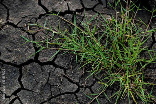 cracked soil
arid  Earth soil   ground   clay  