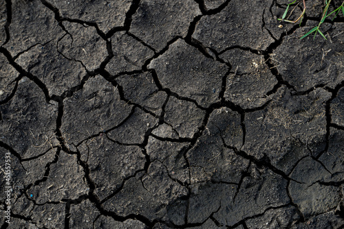 cracked soil
arid  Earth soil   ground   clay  