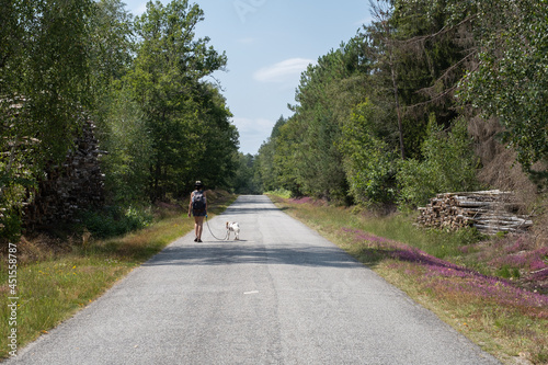 Woman with a dog on a road among the forest