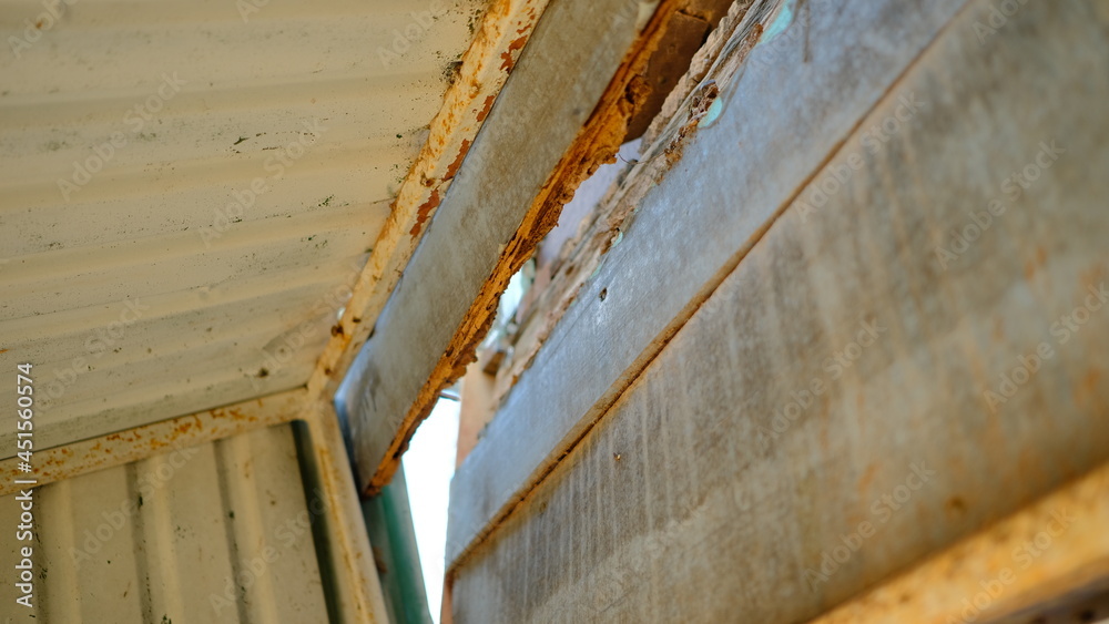 Traces of wood destroyed by termites.