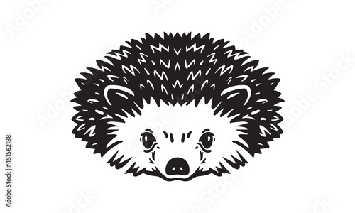 hedgehog logo on white background photo