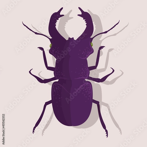 Bug, beetle with horns isolated on light background. Vector illustration. Wild animals, fauna, arthropod, carapace, antennae, vibrissae, insect, zoo, life, nature.