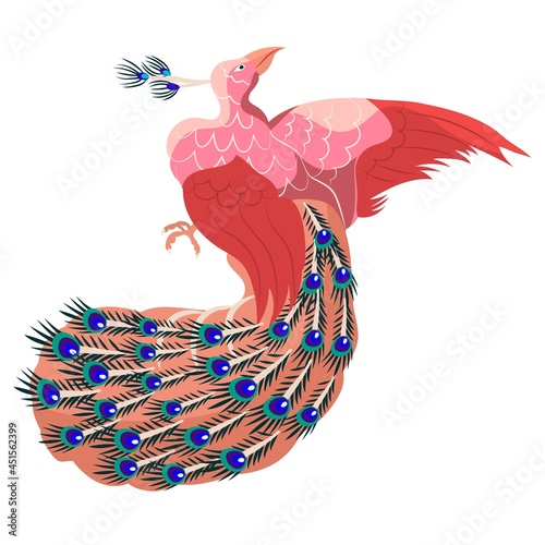 Peacock or firebird or phoenix Isolated on white background. Vector illustration. Bird in Chinese, asian style. Colored feathers, wings, buddhism art, symbol infinite life, religion, beautiful.