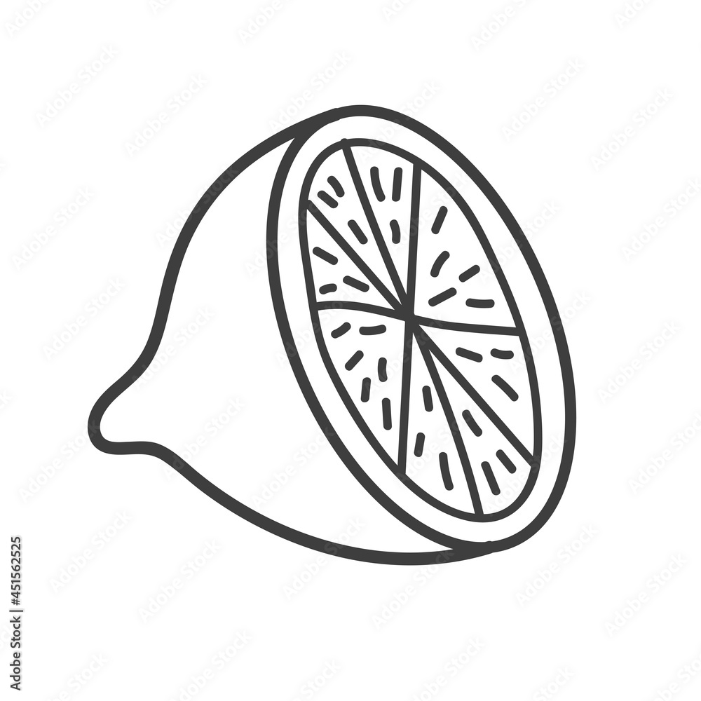 Half lemon isolated on white background. Hand drawn vector illustration. Doodle style, line, clip art. Fruit, citrus, sour, simple picture, food, flavoring, fresh, nature, vegetarian, healthy. Half lemon isolated on white background. Hand drawn vector illustration. Doodle style, line, clip art. Fruit, citrus, sour, simple picture, food, flavoring, fresh, nature, vegetarian, healthy.