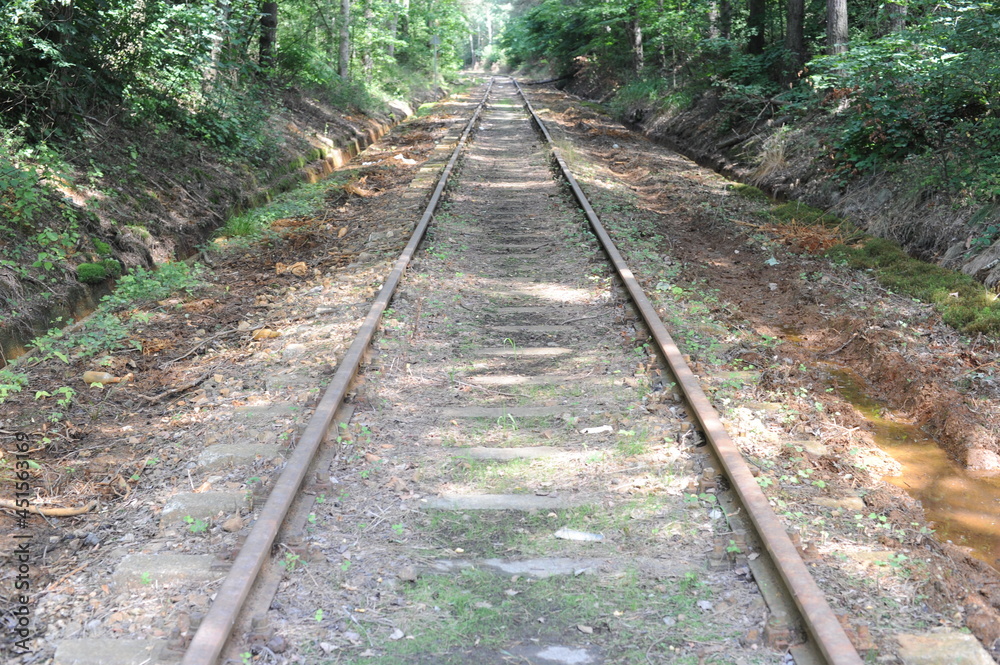 Fototapeta premium Old rust railroad trucks for cargo railway trains in green gorge with trees in summer in daylight