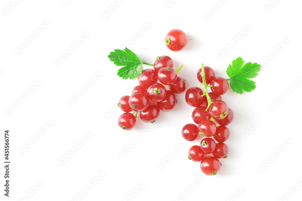 Berries of ripe tasty red currant isolated on white background. red currant with a leaf. a slide of red currants. Red currant berries with leaf isolated on white background. Berries of ripe tasty red currant isolated on white background. red currant with a leaf. a slide of red currants. Red currant berries with leaf isolated on white background.