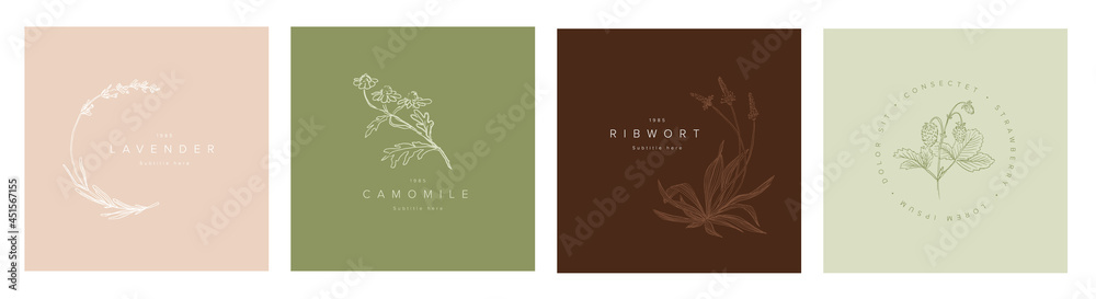 Minimalist floral emblem title frames collection