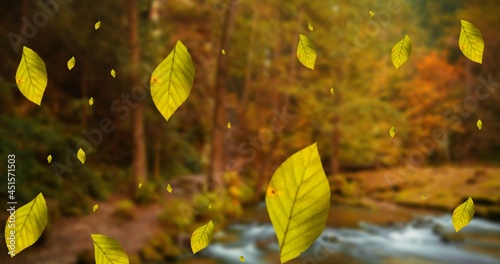 Composition of leaves falling over autumn forest scenery