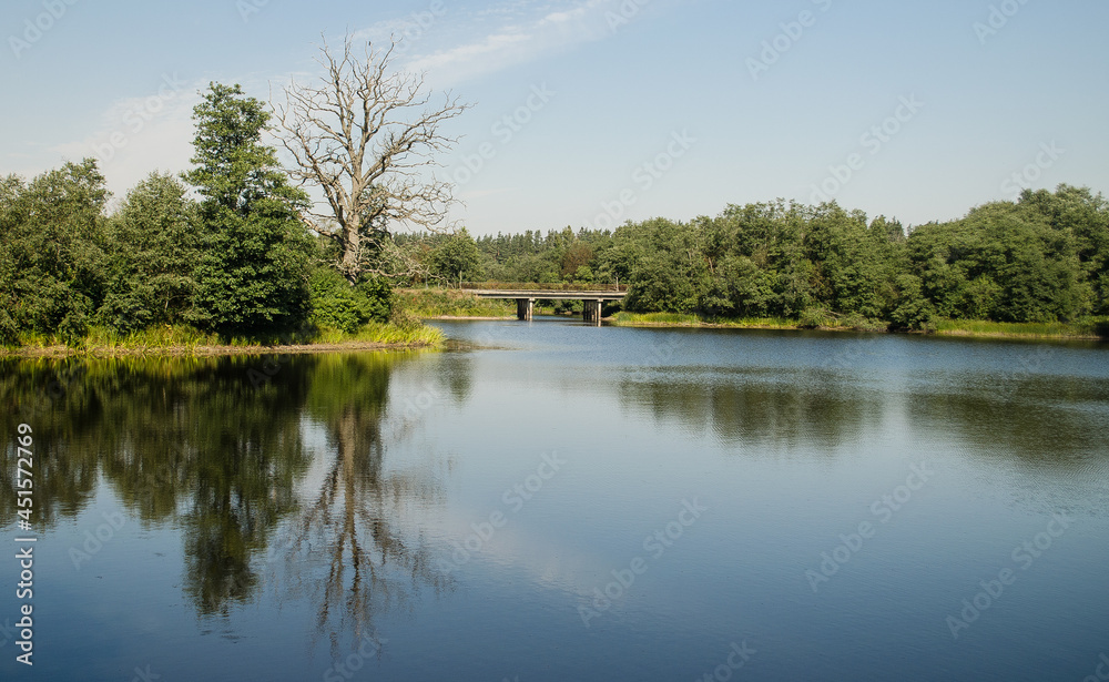 Lake with reflection in sunny summer day, wither oak and bridge, Zlekas, Latvia.