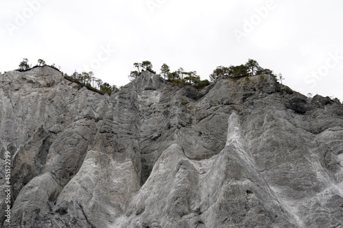Rocky walls of the Ruinaulta ravine or gorge in Switzerland. Photo from the bottom of the ravine exposing their texture. Some coniferous trees are on the top of the rock. There is a lot of copy space.