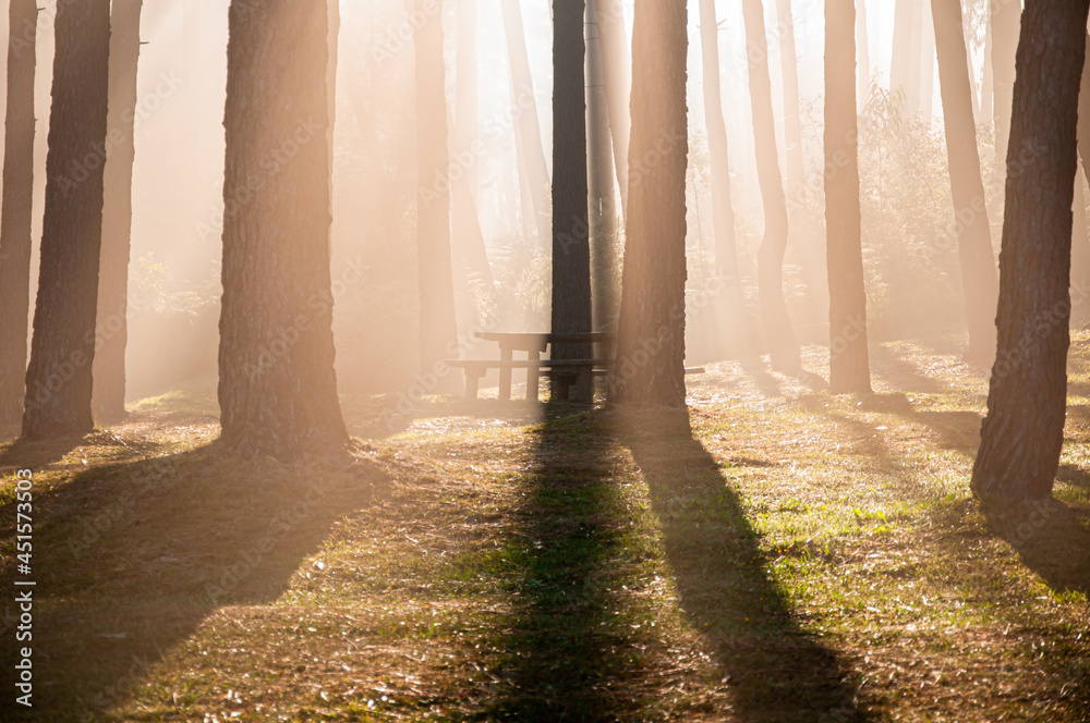 Natural park with tables to eat